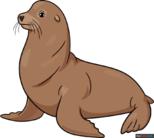 How to Draw a Sea Lion