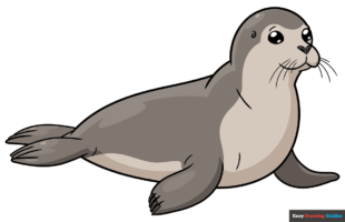 How to Draw a Seal