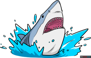 How to Draw a Shark Head