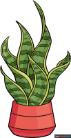 How to Draw a Snake Plant