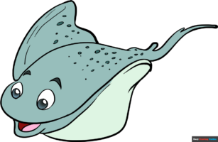 How to Draw a Stingray