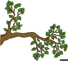 How to Draw a Tree Branch