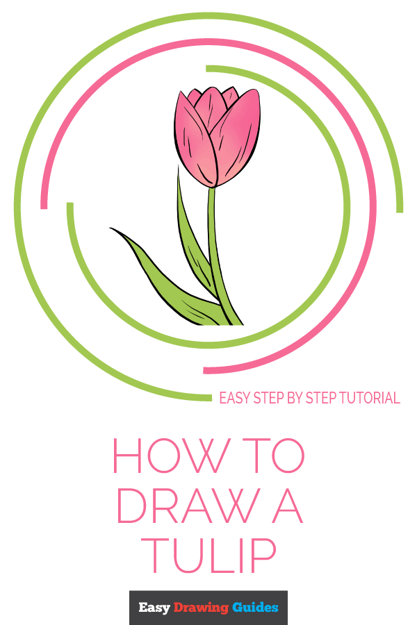 How to Draw a Tulip Pinterest Image