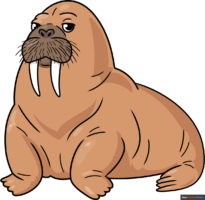 How to Draw a Walrus