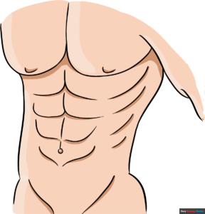 How to Draw Abs Featured Image