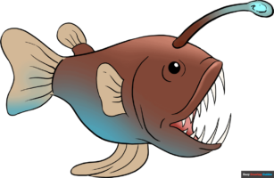 How to Draw an Angler Fish