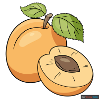 How to Draw an Apricot