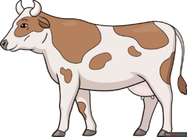 How to Draw an Easy Realistic Cow
