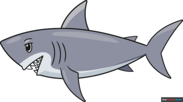 How to Draw an Easy Shark for Kids
