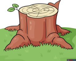 How to Draw an Easy Tree Stump