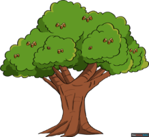 How to Draw an Oak Tree