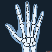 How to Draw an X-Ray