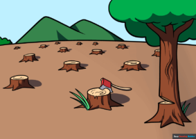 How to Draw Deforestation