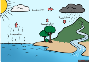 How to Draw the Water Cycle Featured Image