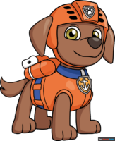 How to Draw Zuma from Paw Patrol