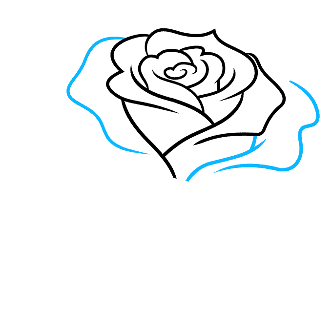 Realistic Rose Flower step-by-step drawing tutorial: step 05